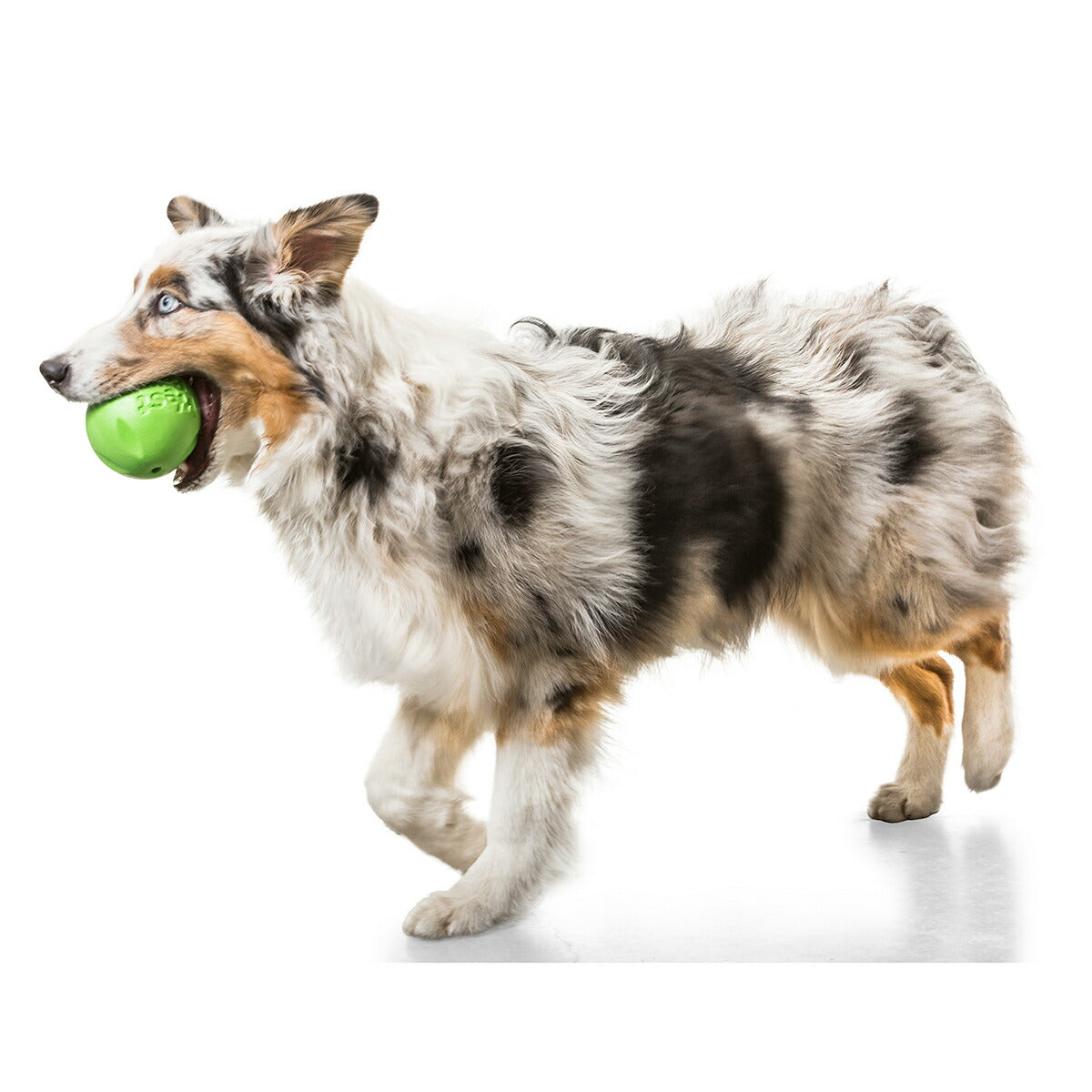 ウェストポウ ゾゴフレックス・エコー ランダ L ジャングルグリーン