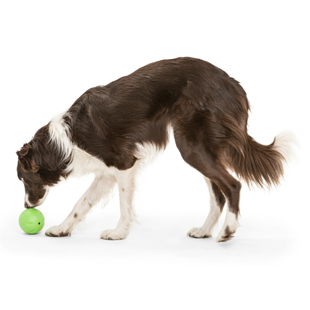 ウェストポウ ゾゴフレックス・エコー ランダ L ジャングルグリーン