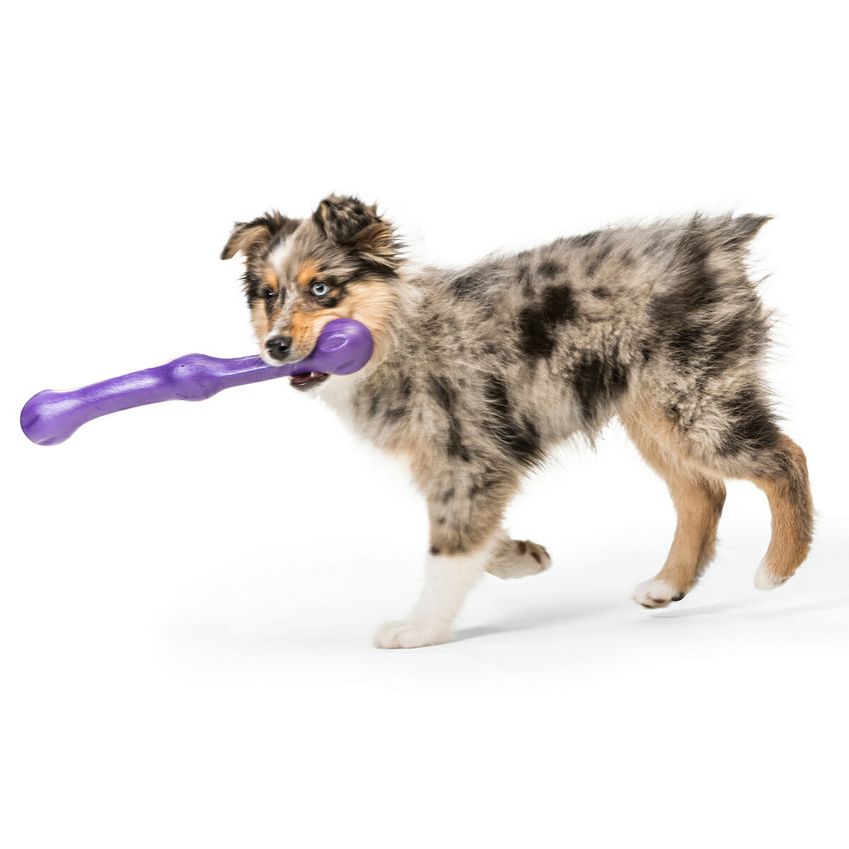 ウェストポウ ゾゴフレックス・エコー ズイッグ L エッグプラントパープル