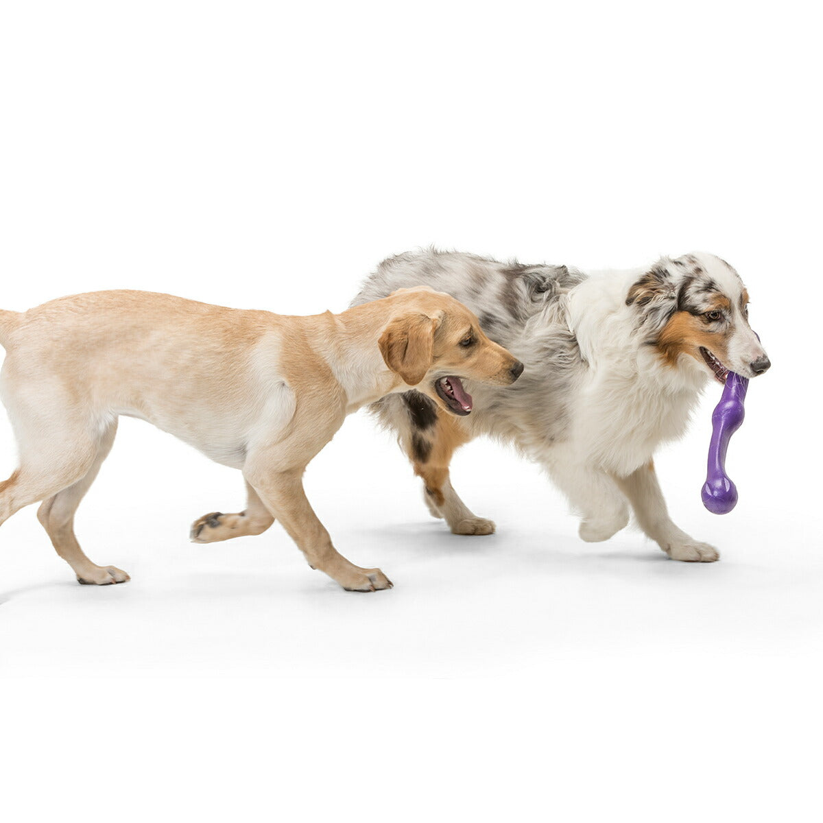 ウェストポウ ゾゴフレックス・エコー ズイッグ L エッグプラントパープル