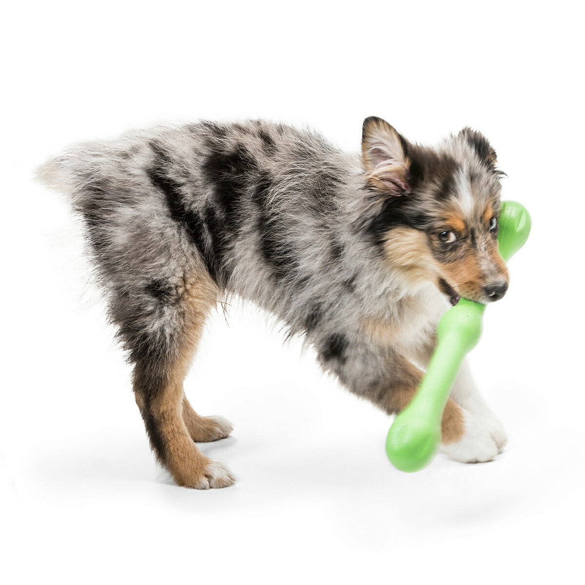 ウェストポウ ゾゴフレックス・エコー ズイッグ L ジャングルグリーン