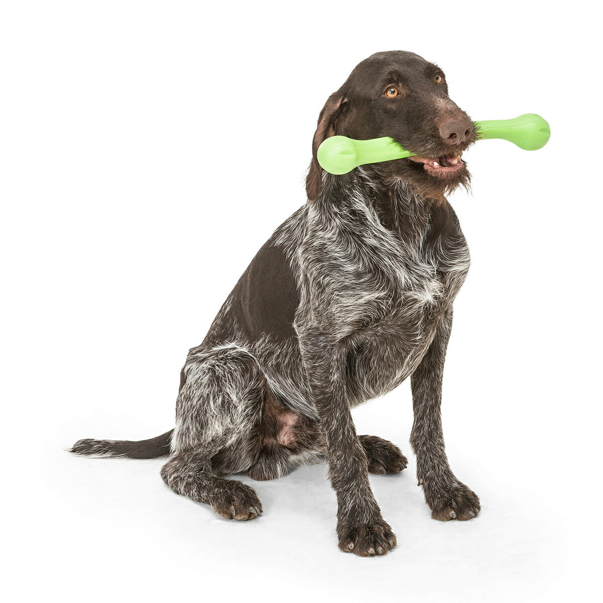 ウェストポウ ゾゴフレックス・エコー ズイッグ L ジャングルグリーン