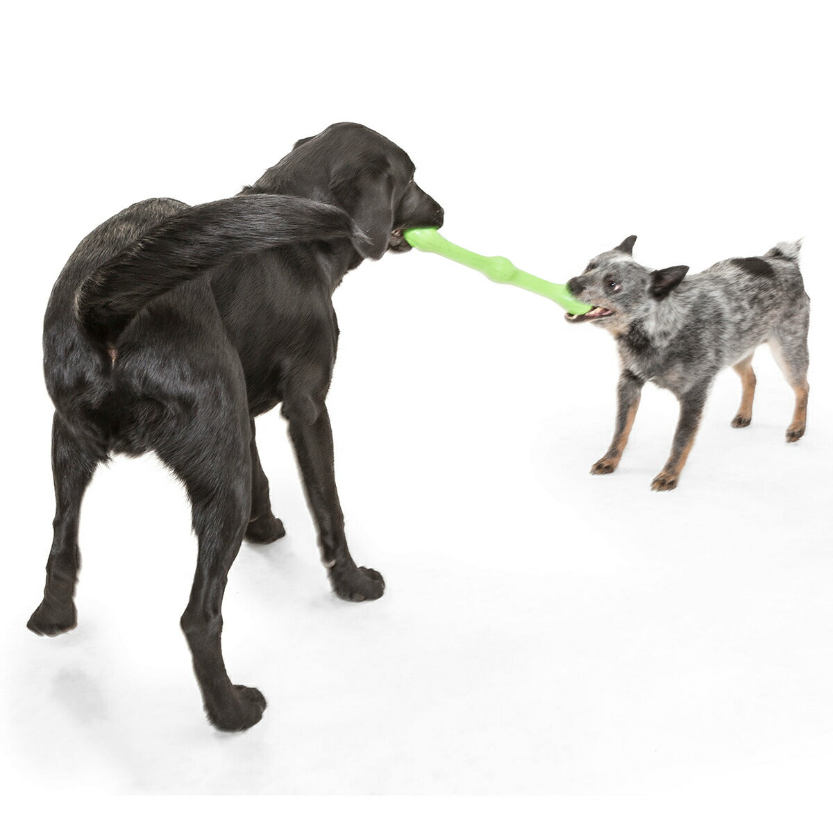 ウェストポウ ゾゴフレックス・エコー ズイッグ L ジャングルグリーン