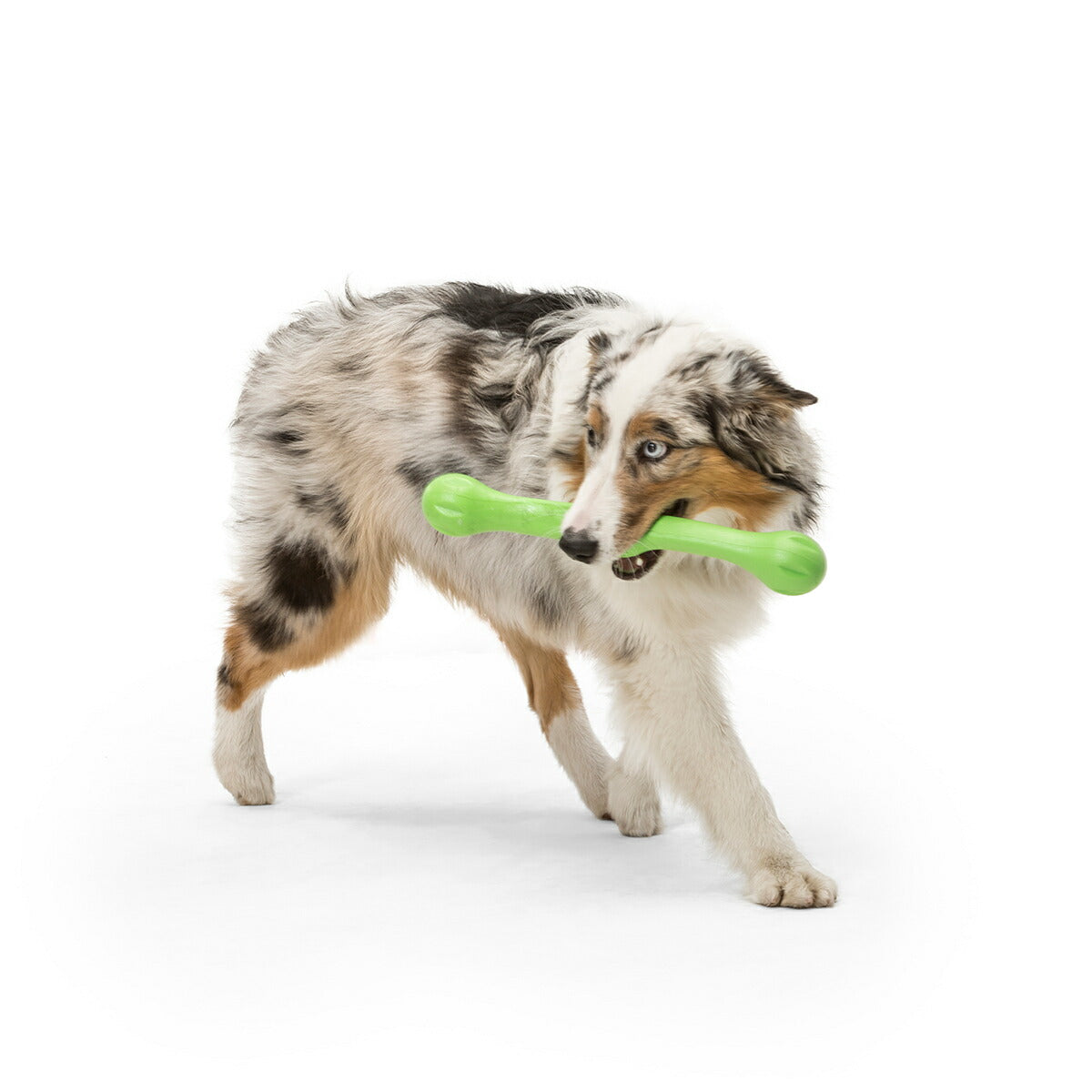 ウェストポウ ゾゴフレックス・エコー ズイッグ L ジャングルグリーン