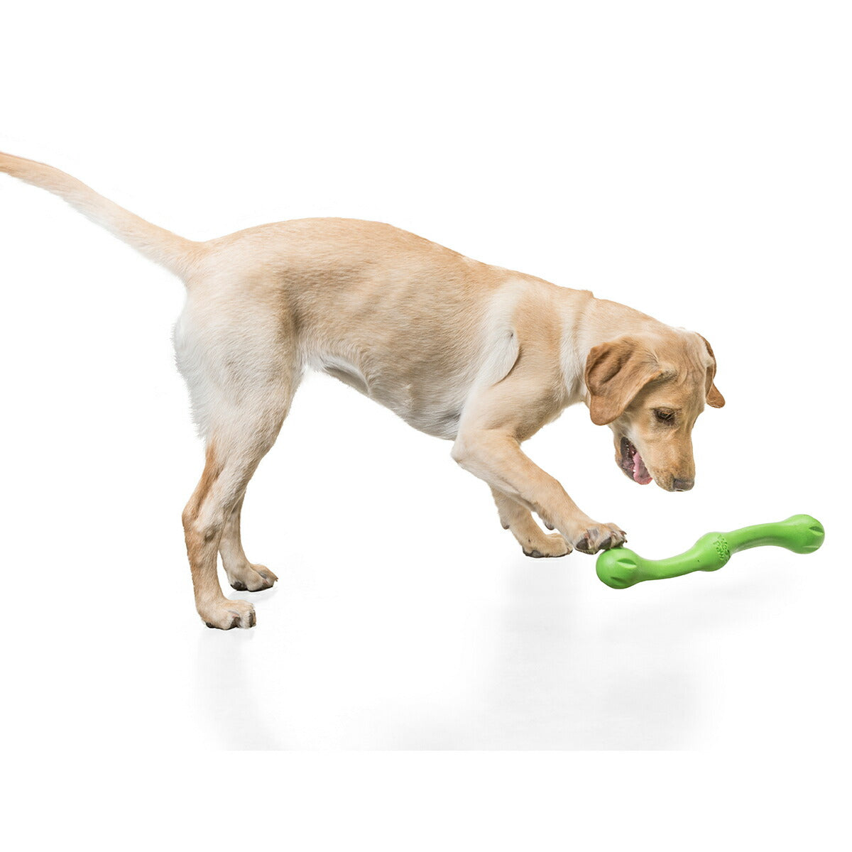 ウェストポウ ゾゴフレックス・エコー ズイッグ L ジャングルグリーン