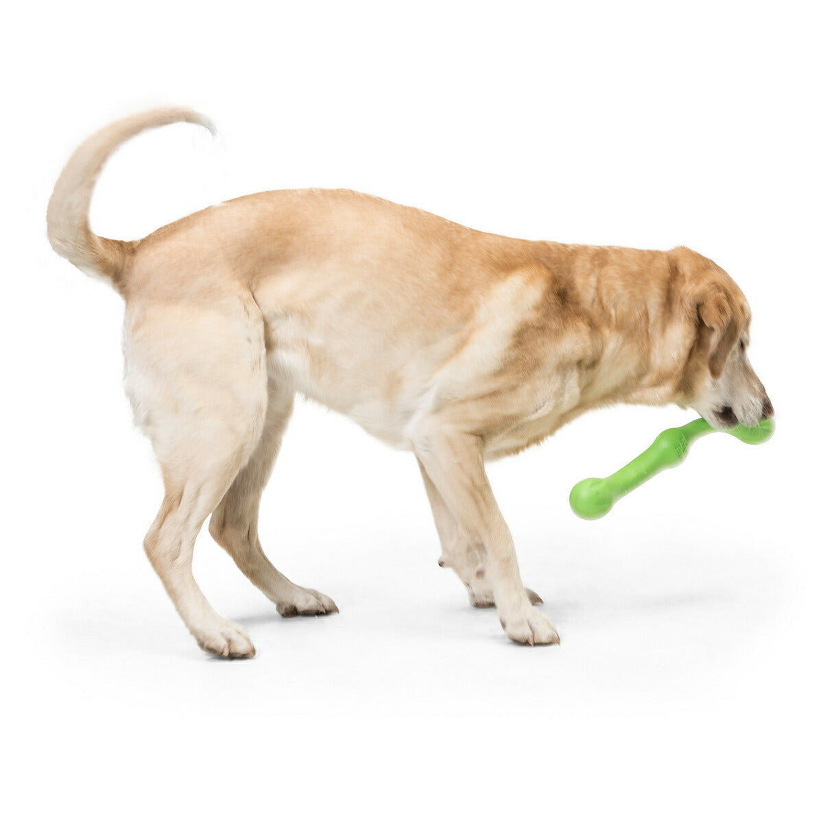 ウェストポウ ゾゴフレックス・エコー ズイッグ L ジャングルグリーン