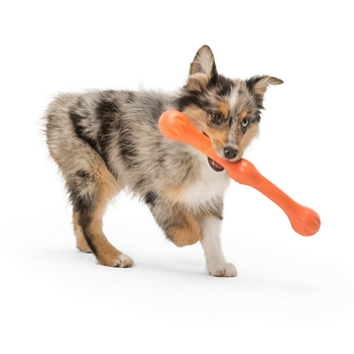 ウェストポウ ゾゴフレックス・エコー ズイッグ L メロンオレンジ