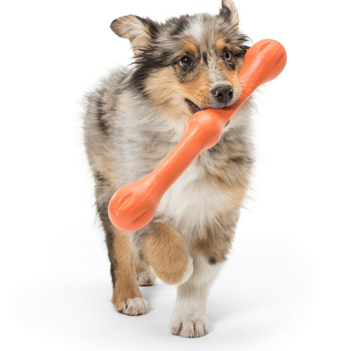 ウェストポウ ゾゴフレックス・エコー ズイッグ L メロンオレンジ