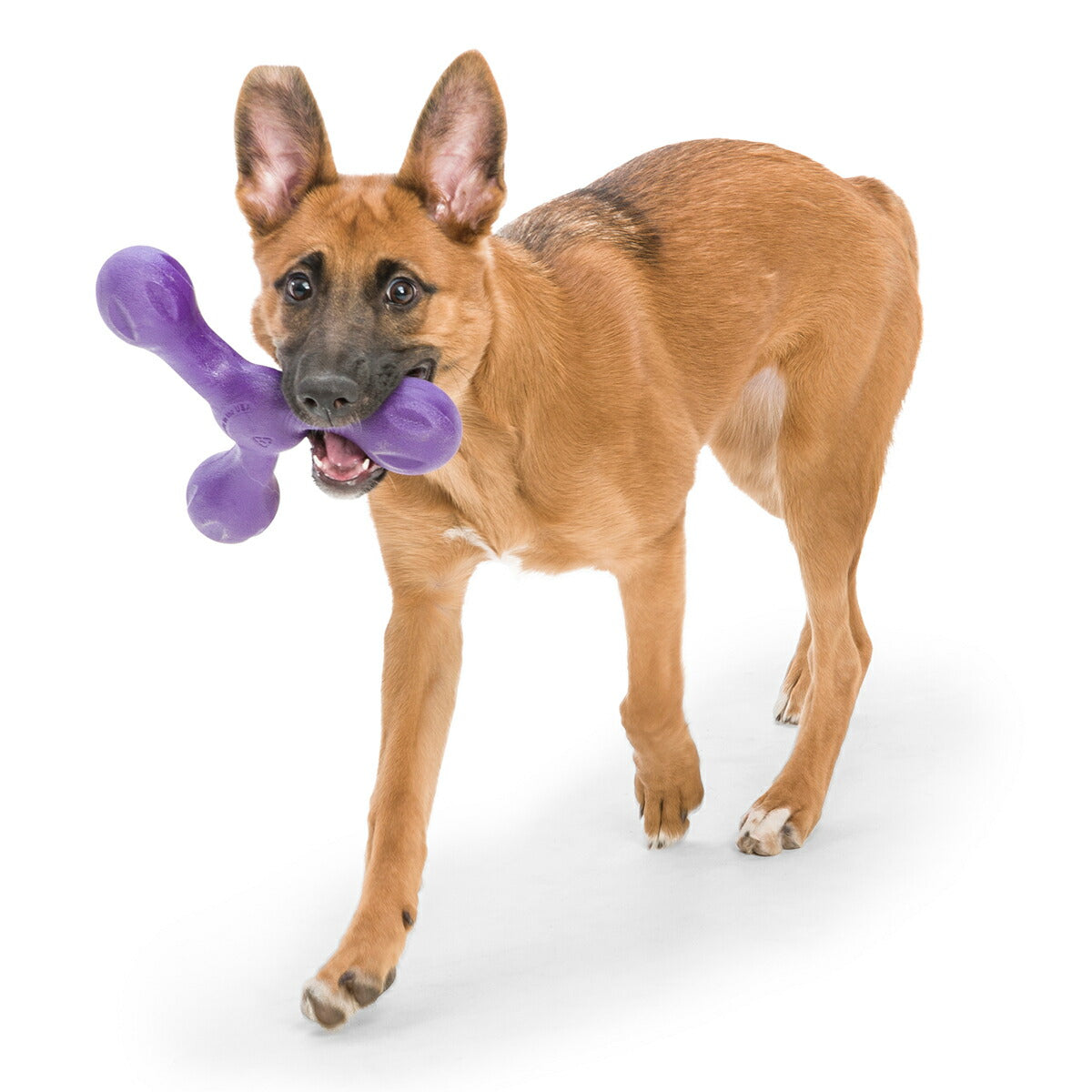 ウェストポウ ゾゴフレックス・エコー スキャンプ L パープル