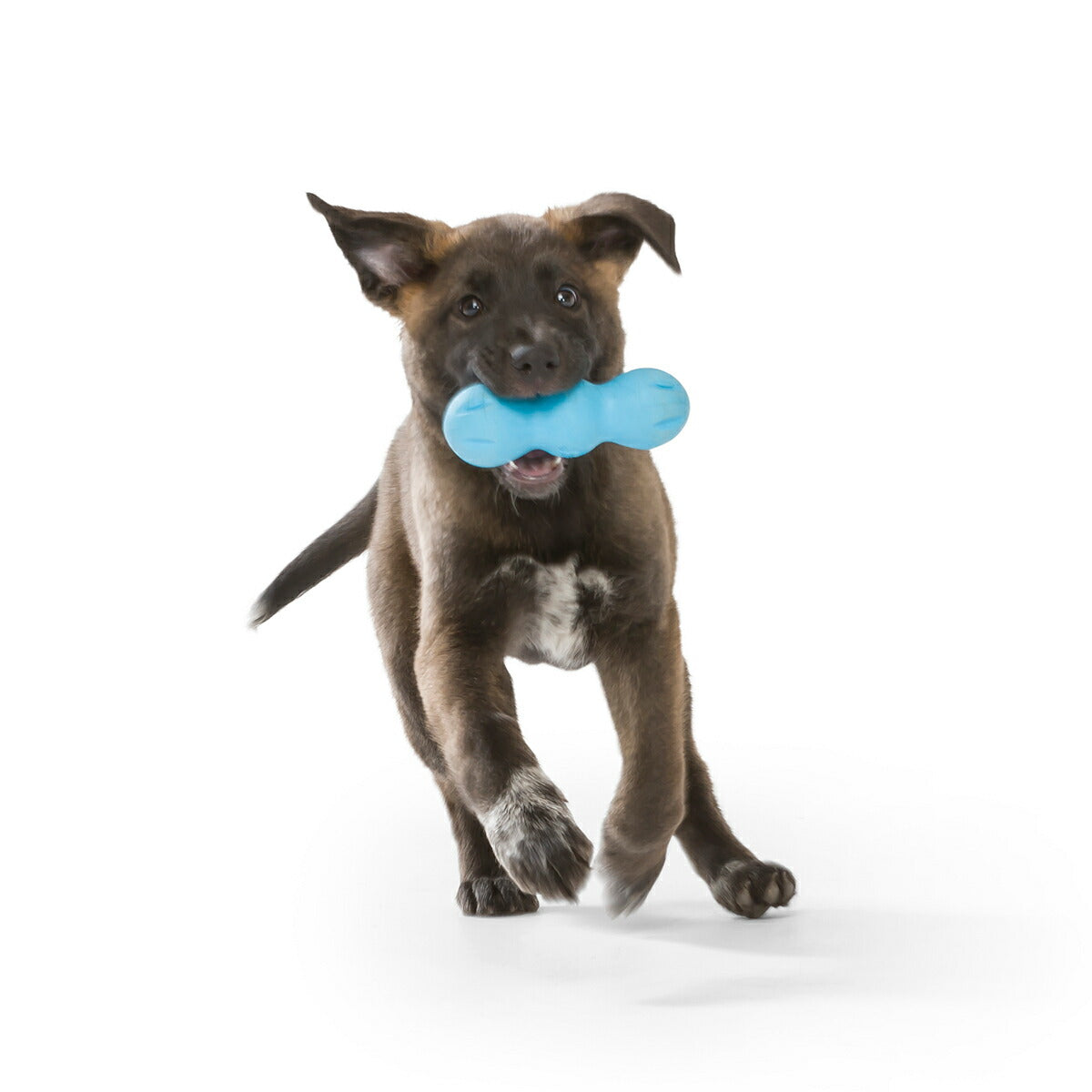 ウェストポウ ゾゴフレックス ランパス S アクアブルー