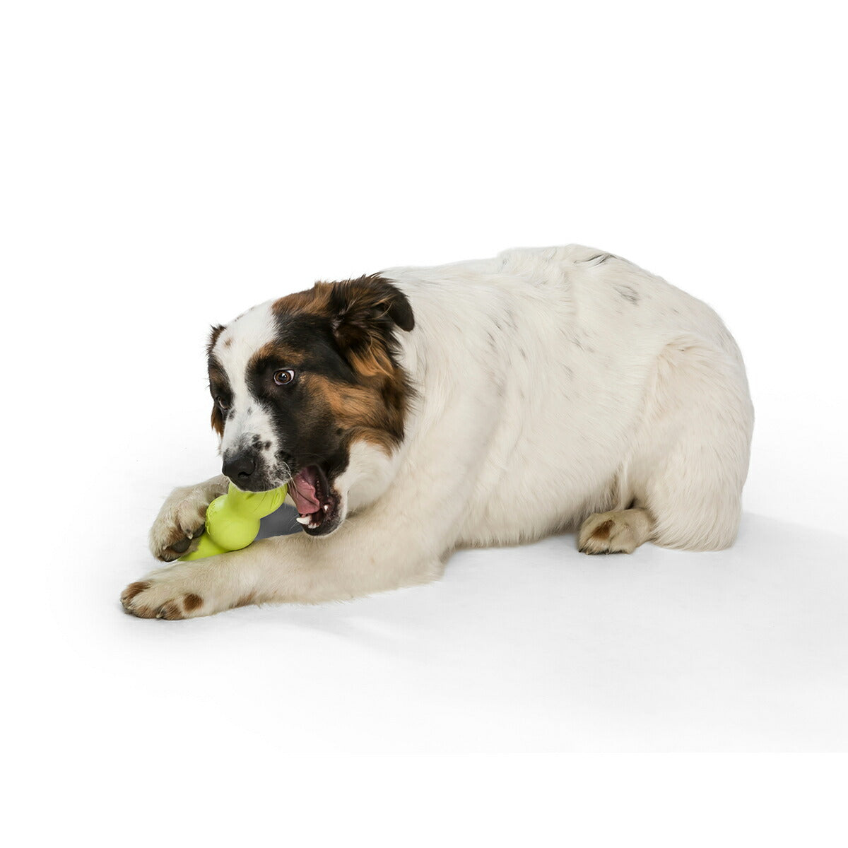 ウェストポウ ゾゴフレックス ランパス M グラニースミスグリーン