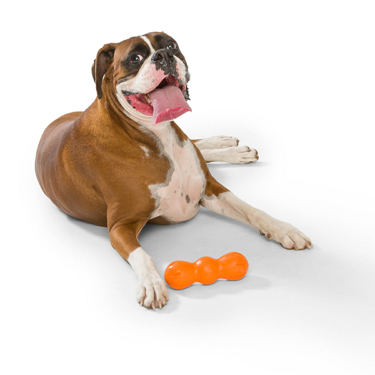 ウェストポウ ゾゴフレックス ランパス M タンジェリンオレンジ