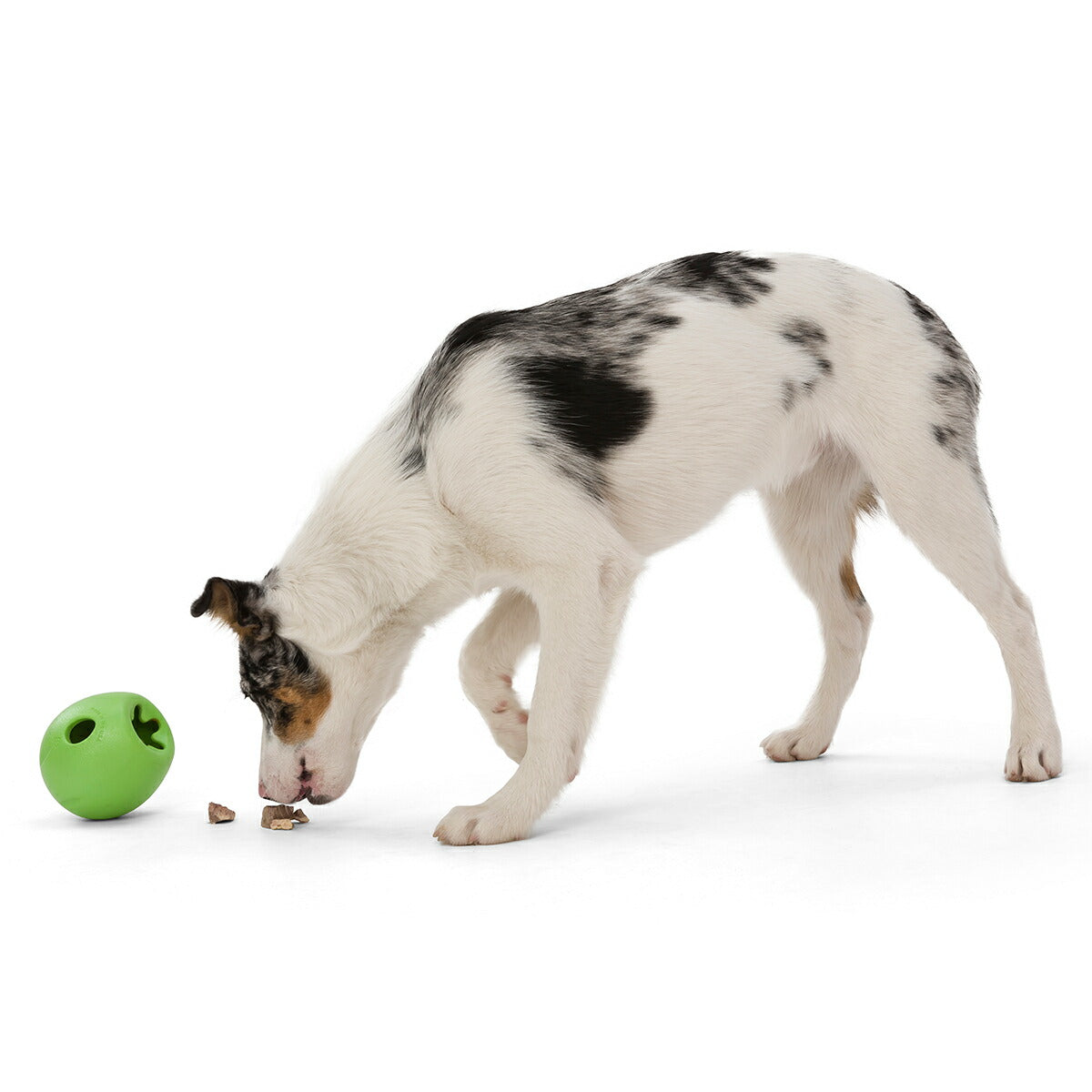 ウェストポウ ゾゴフレックス・エコー ランブル L ジャングルグリーン【送料無料】