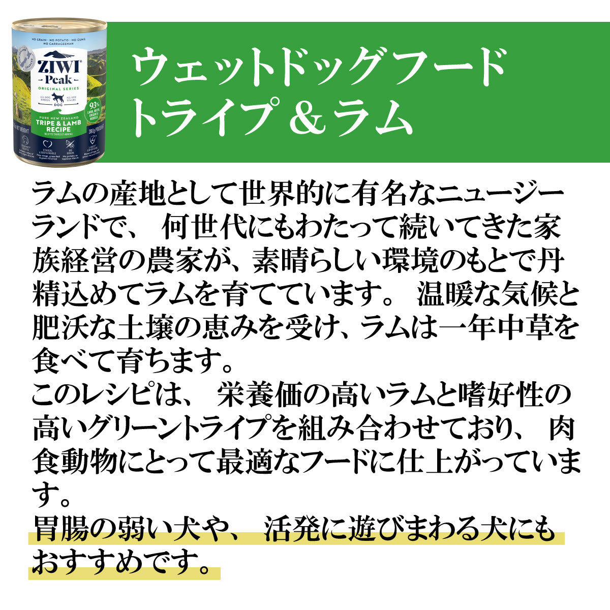 ジウィ ZIWI ドッグフード ドッグ缶 トライプ＆ラム 390g×12缶【送料無料】 正規品 無添加 ジウィピーク