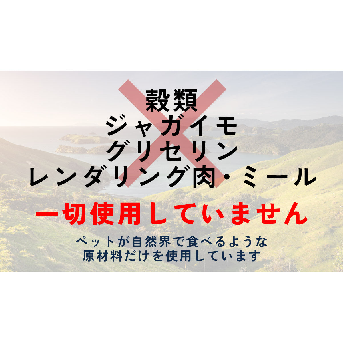 ジウィ ZIWI キャットフード キャット缶 マッカロー＆ラム 185g 正規品 無添加 ジウィピーク