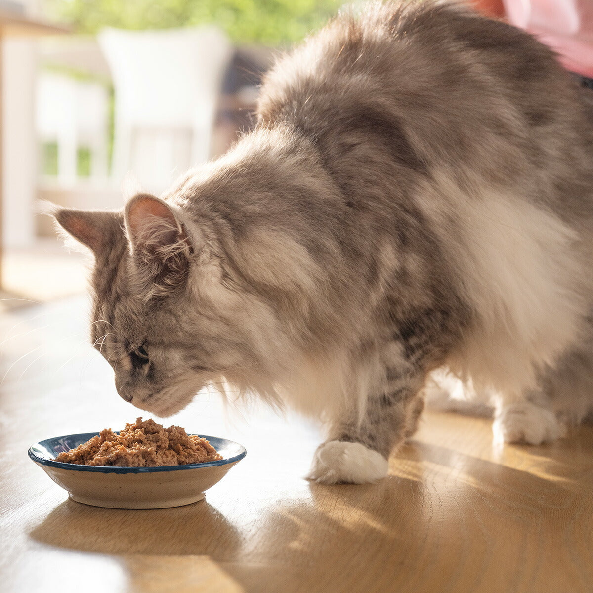 ジウィ ZIWI キャットフード キャット缶 ラム 185g 正規品 無添加 ジウィピーク