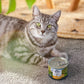 ジウィ ZIWI キャットフード キャット缶 フリーレンジチキン 185g×12缶【送料無料】 正規品 無添加 ジウィピーク