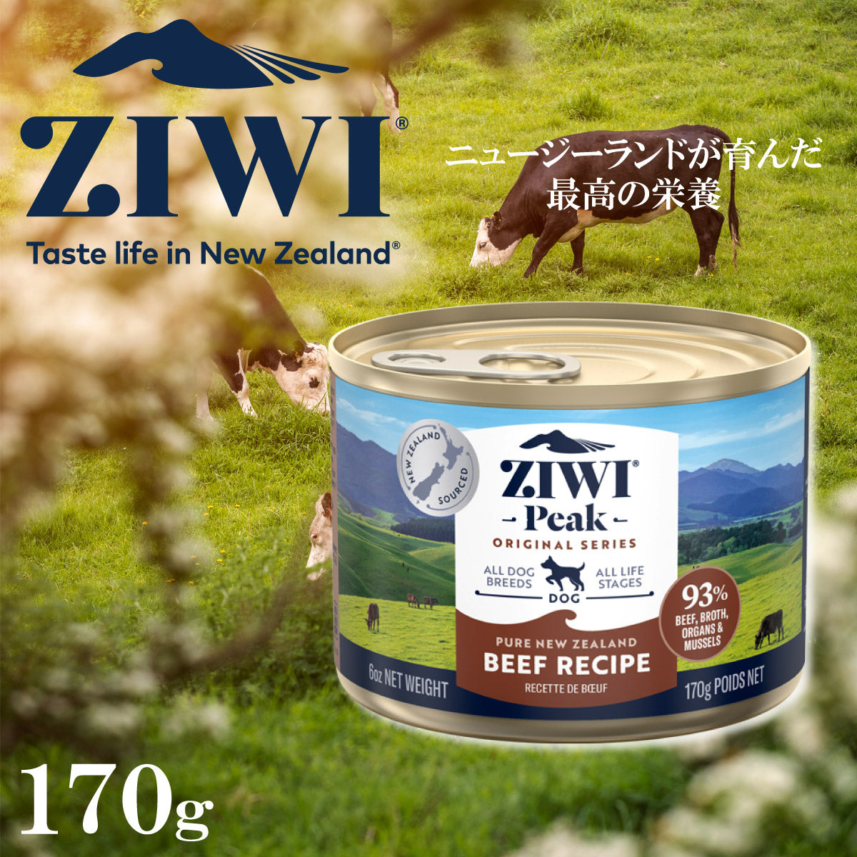 ジウィ ZIWI ドッグフード ドッグ缶 グラスフェッドビーフ 170g 正規品 無添加 ジウィピーク