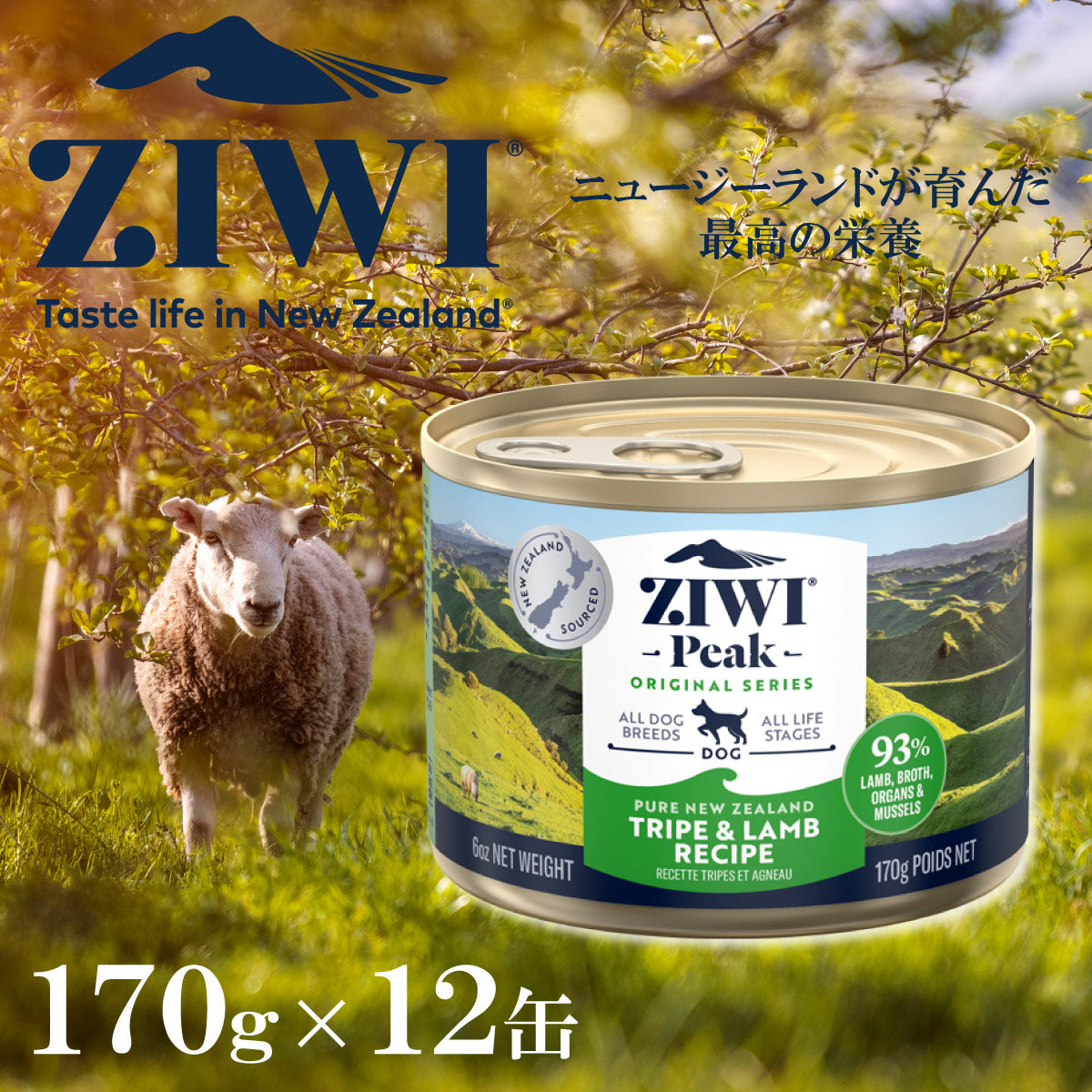 ジウィ ZIWI ドッグフード ドッグ缶 トライプ＆ラム 170g×12缶【送料無料】 正規品 無添加 ジウィピーク