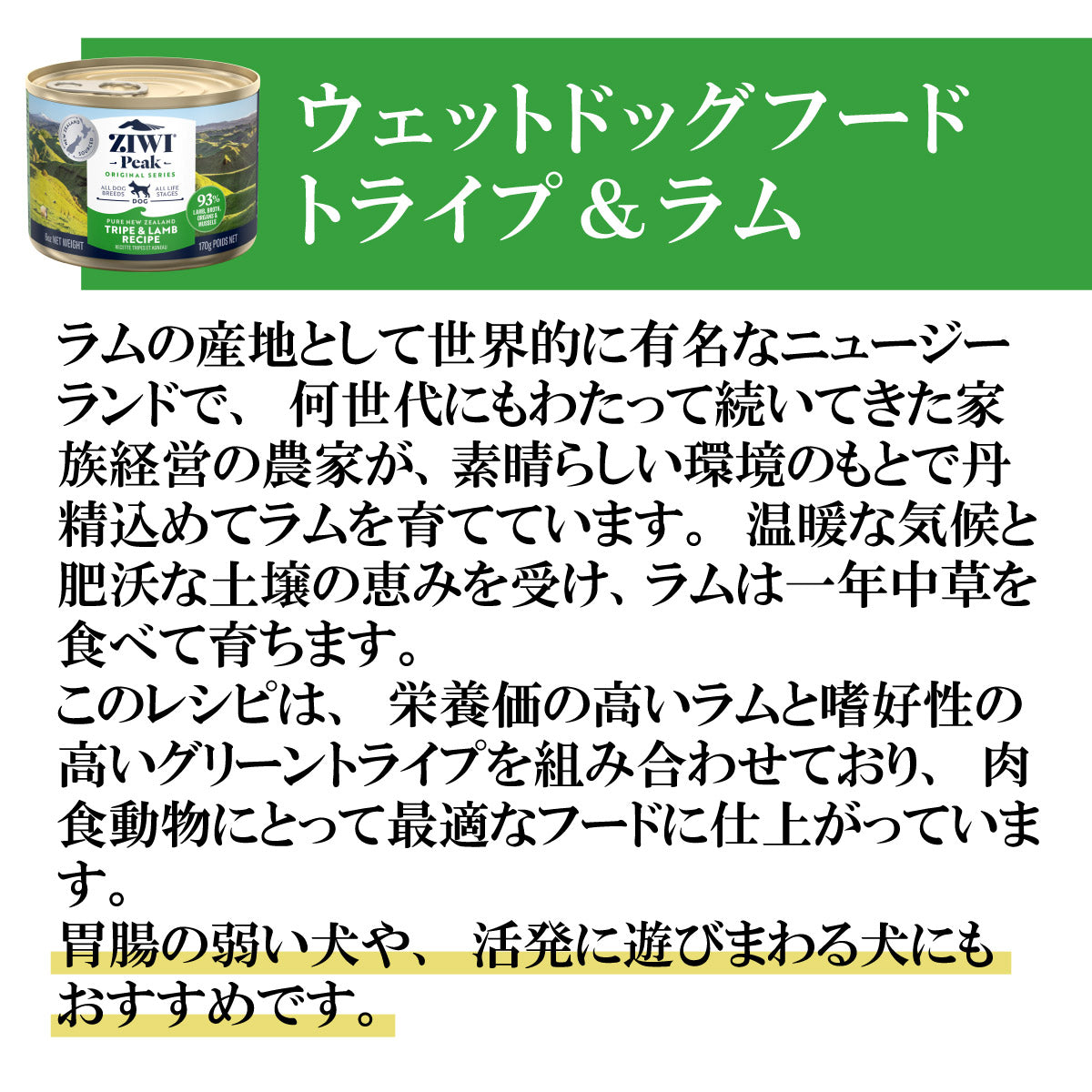 ジウィ ZIWI ドッグフード ドッグ缶 トライプ＆ラム 170g×12缶【送料無料】 正規品 無添加 ジウィピーク