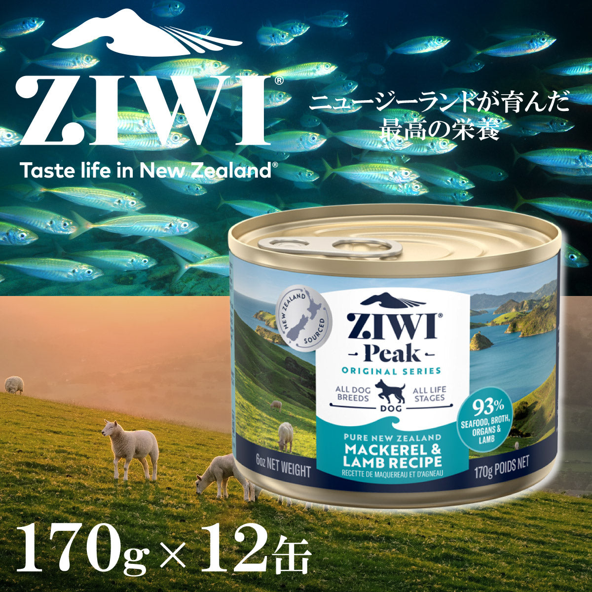 ジウィ ZIWI ドッグフード ドッグ缶 マッカロー＆ラム 170g×12缶【送料無料】 正規品 無添加 ジウィピーク