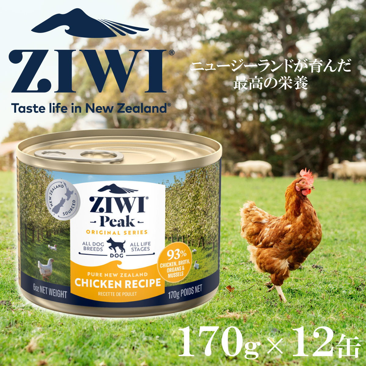 ジウィ ZIWI ドッグフード ドッグ缶 フリーレンジチキン 170g×12缶【送料無料】 正規品 無添加 ジウィピーク